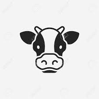 Vache
