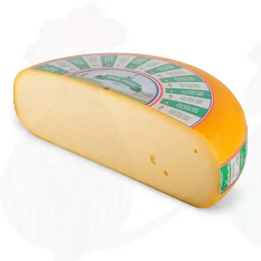 Gouda jeune